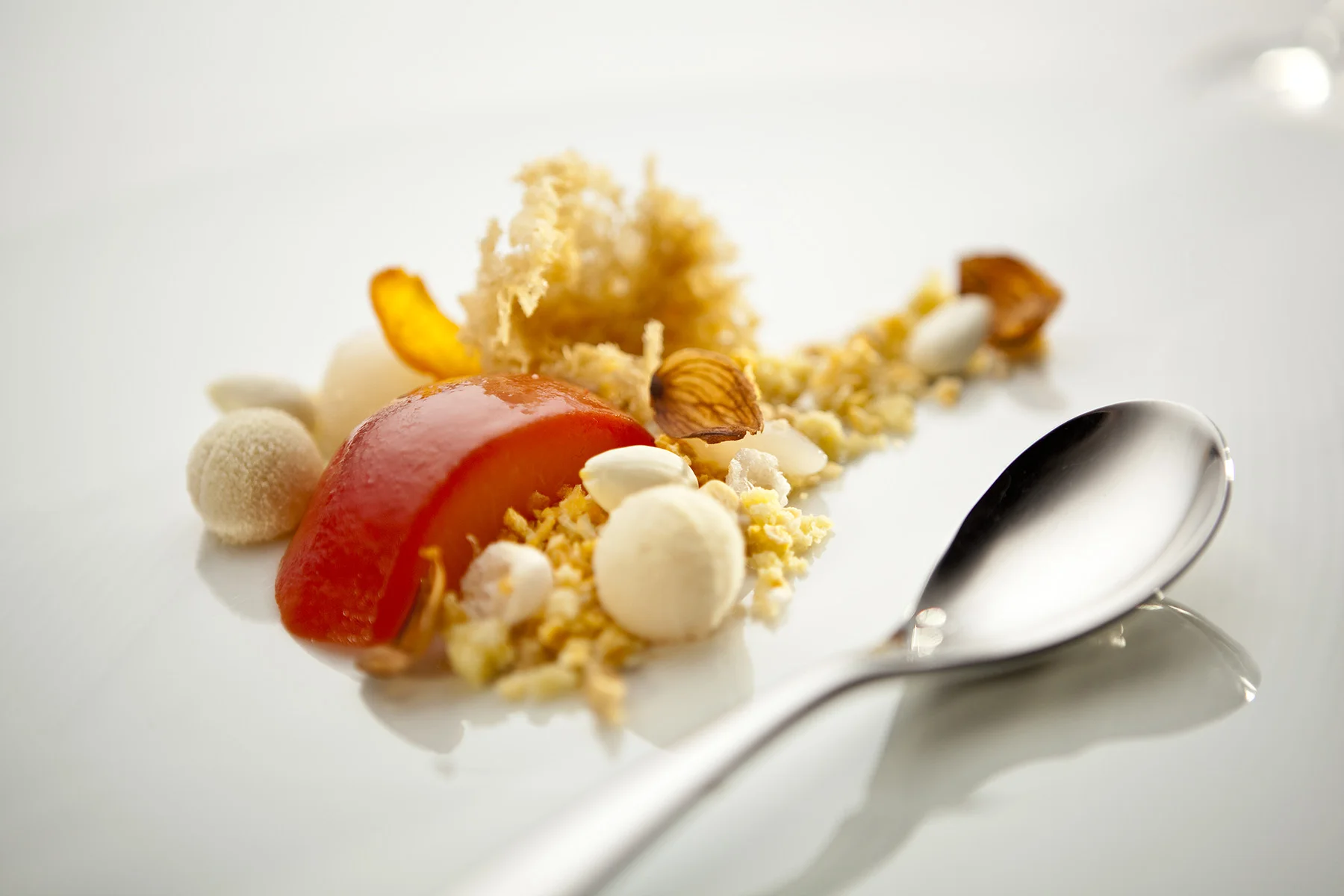 Aj Moller Photography 098.jpg