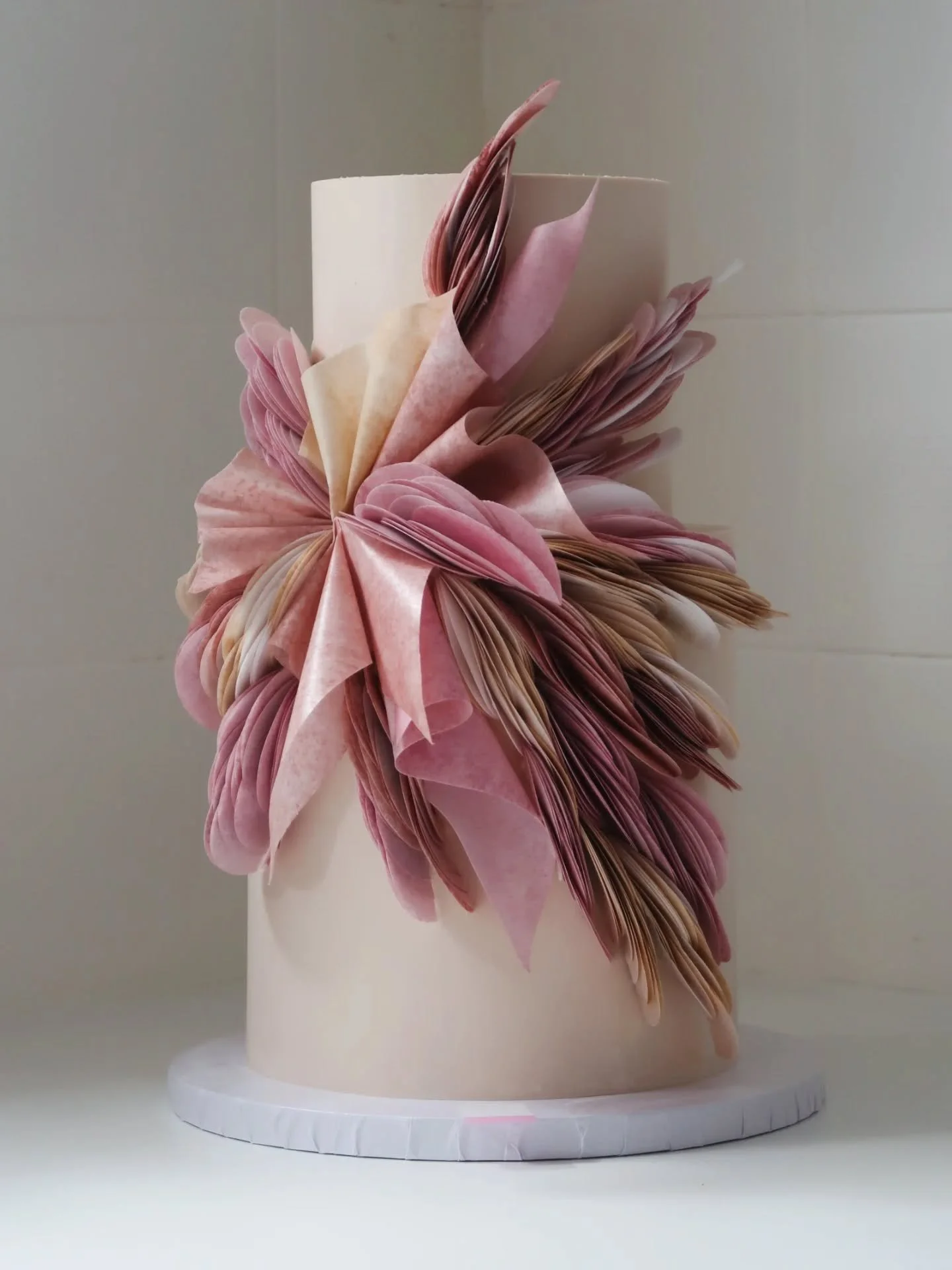 🩷 Never gets old. This one reminds me of birds wings though I can't quite explain why.