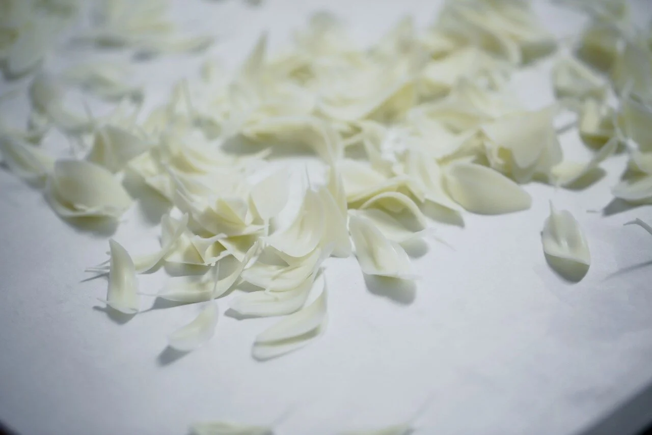 Swan White Chocolate Birthday Cake Limassol Cyprus Order Buy