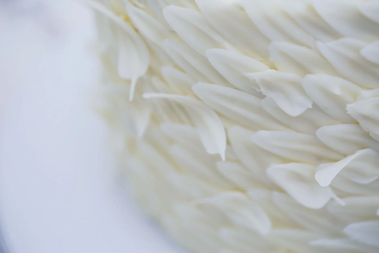 Swan White Chocolate Birthday Cake Limassol Cyprus Order Buy