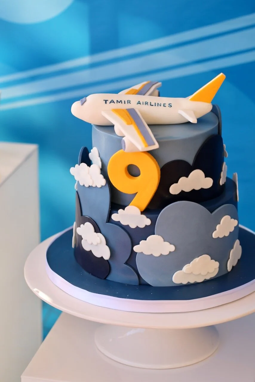 Plane Pilot Birthday Cake Limassol Cyprus Order Buy