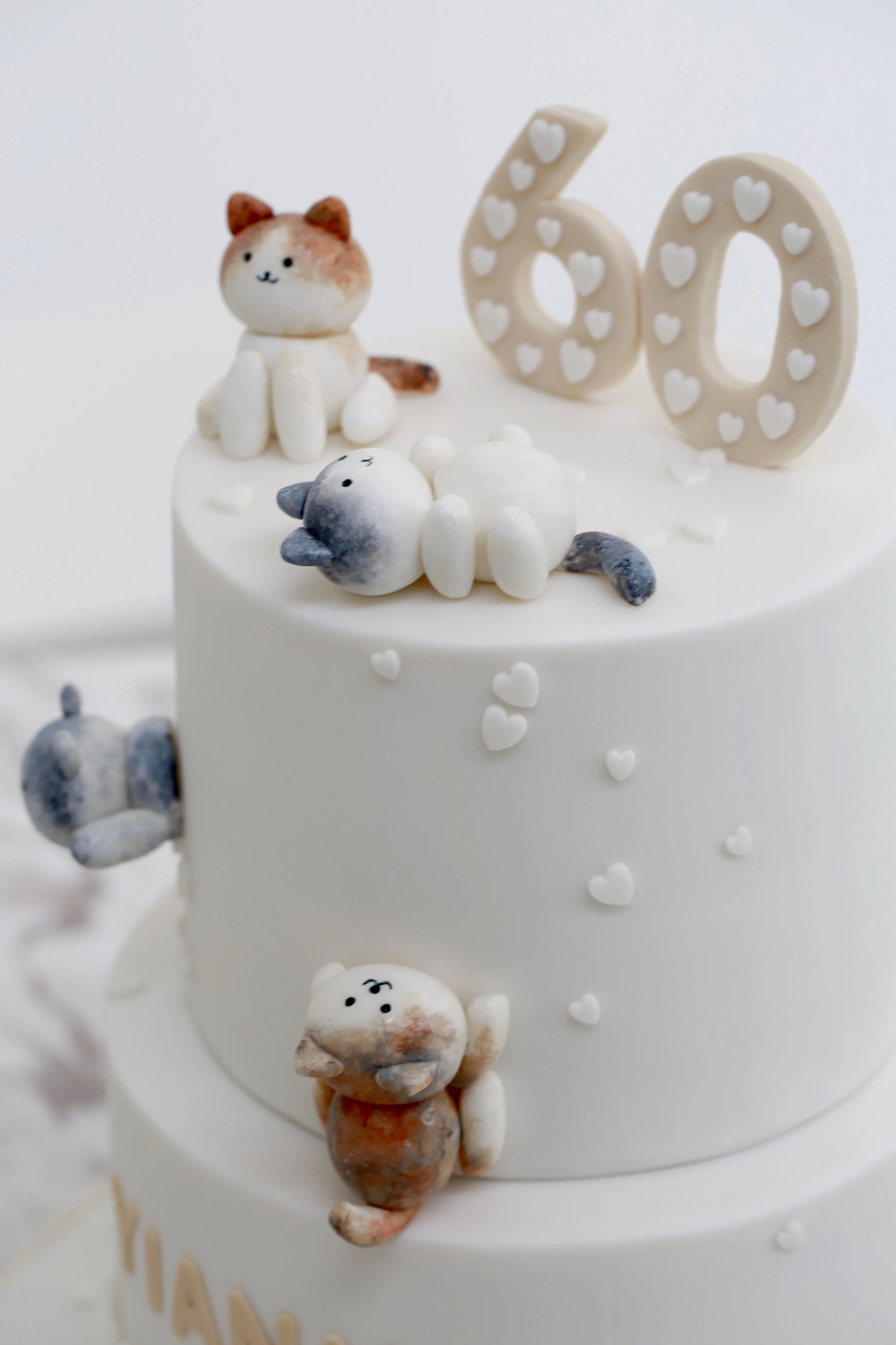 Cat Lady Birthday Cake Limassol Cyprus Order Buy