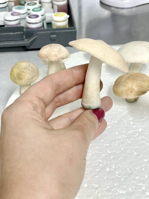 Birch Birthday Cake Limassol Cyprus Order Buy