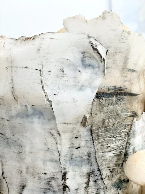 Birch Birthday Cake Limassol Cyprus Order Buy