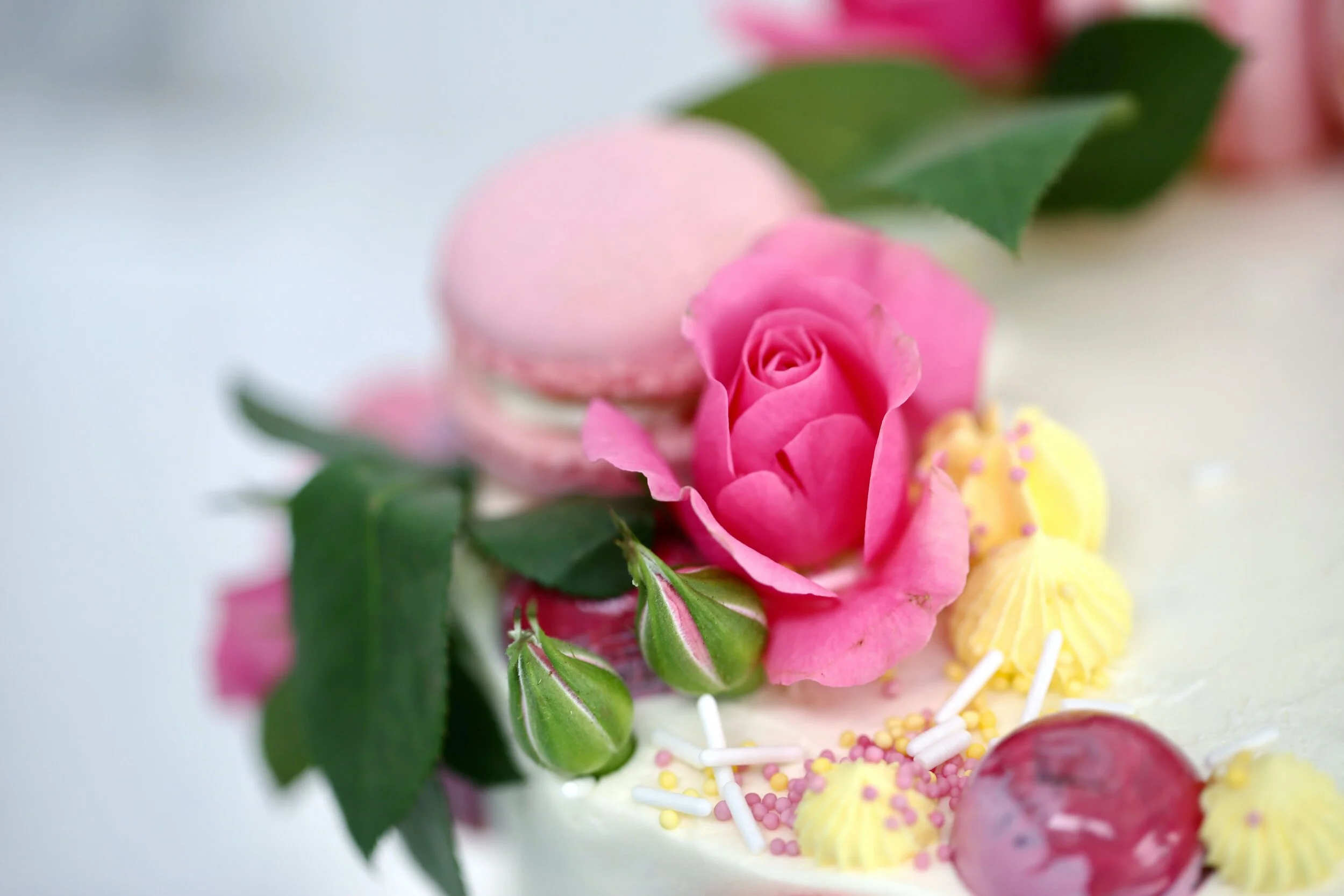 Flowers Macarons Birthday Cake Limassol Cyprus Order Buy