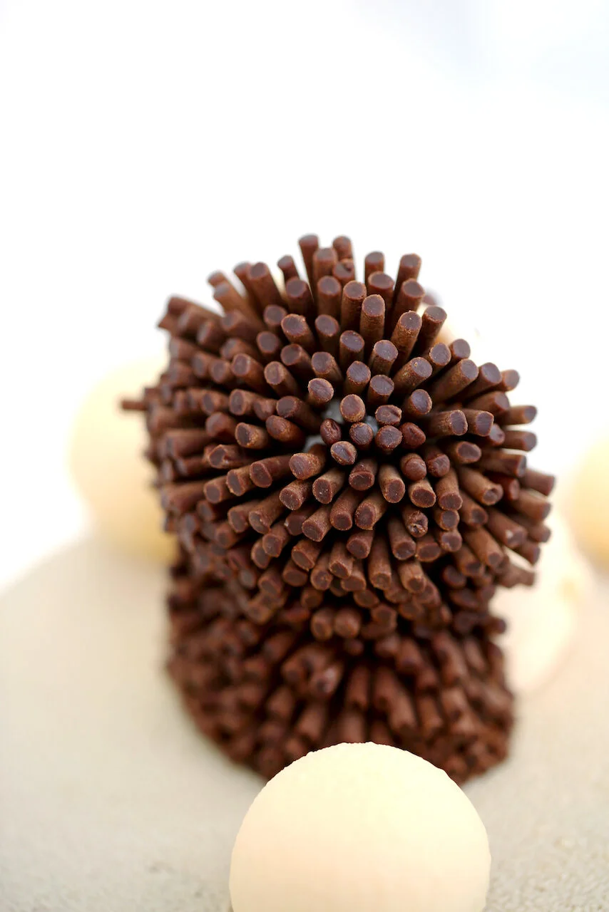 Hedgehog Birthday Cake Limassol Cyprus Order Buy