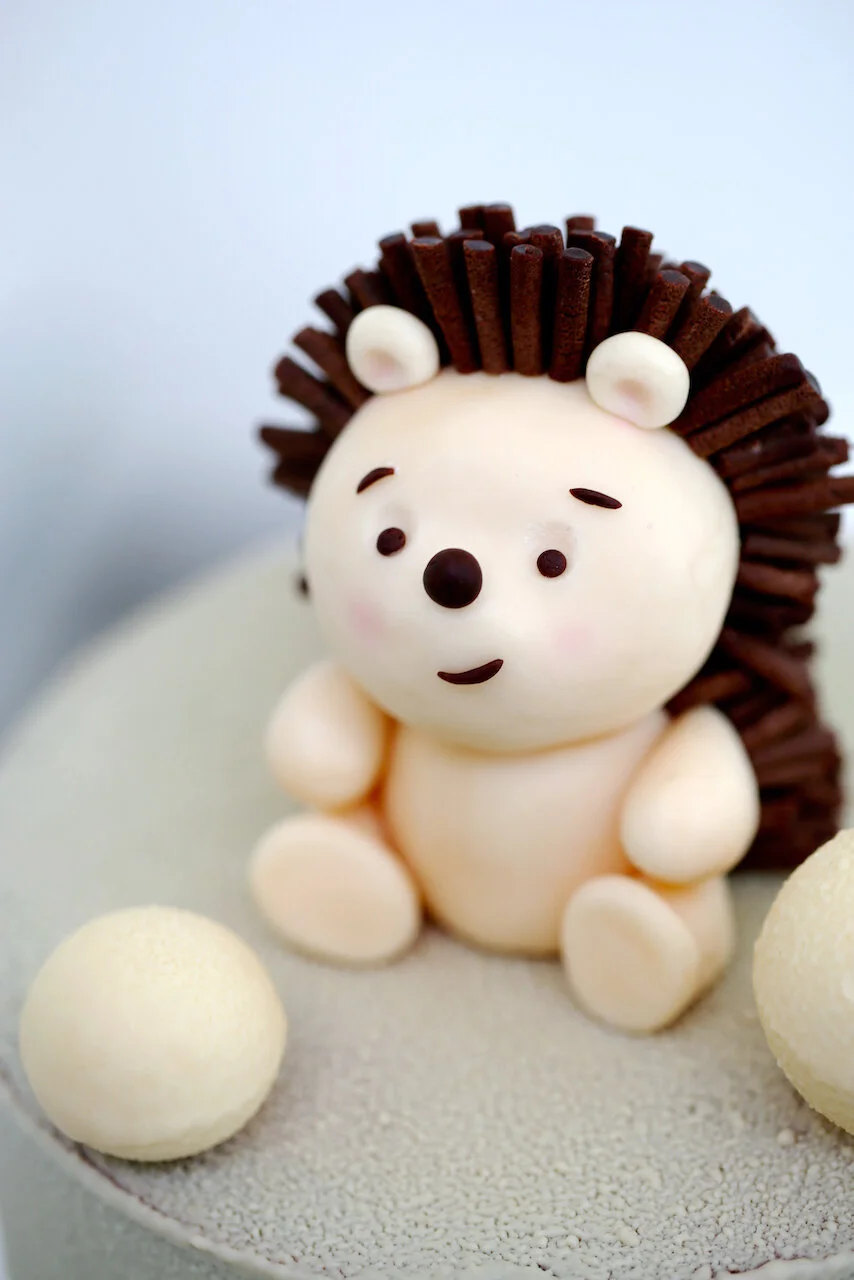 Hedgehog Birthday Cake Limassol Cyprus Order Buy