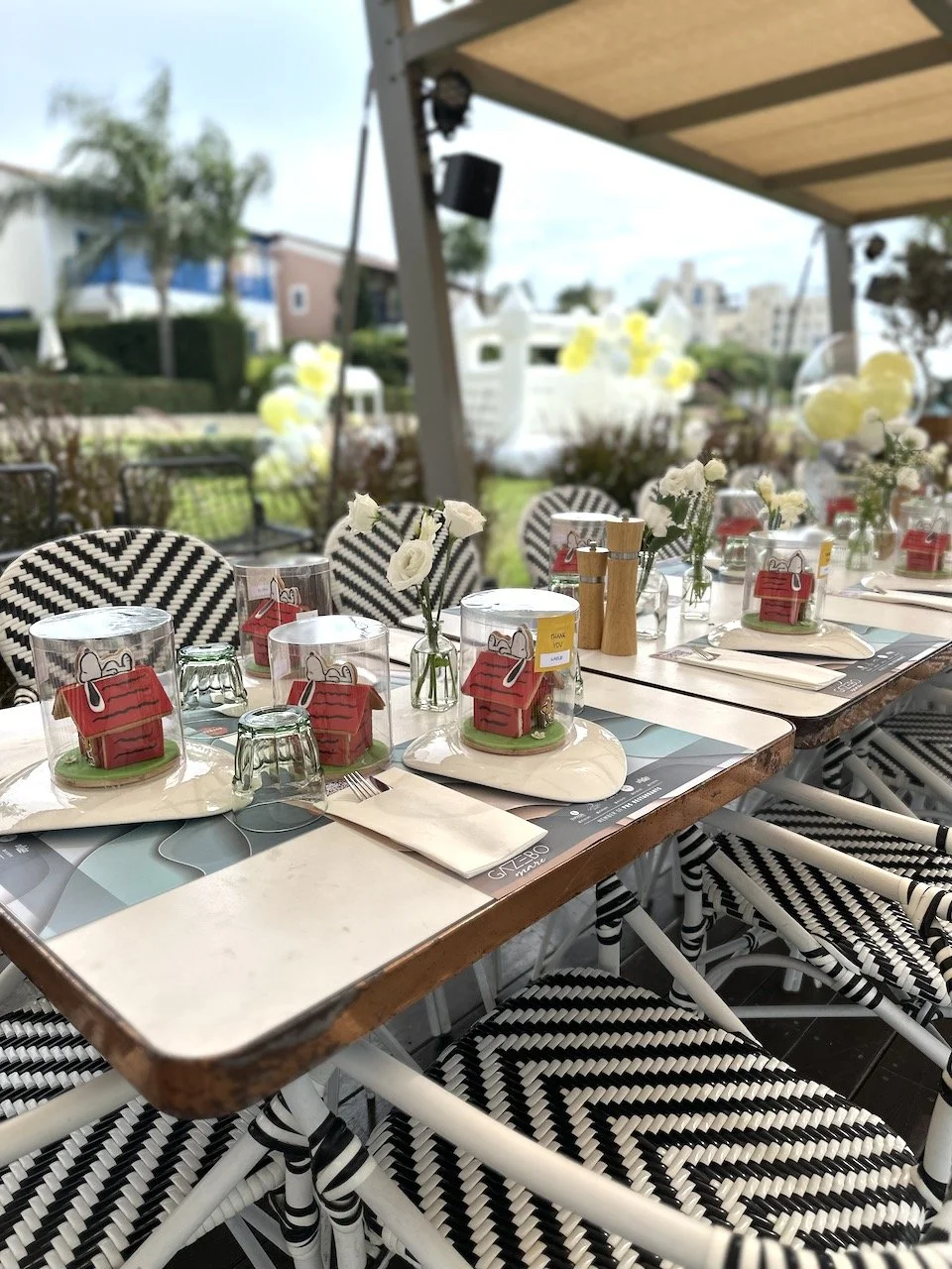 Adults - 34 of 108.jpeg