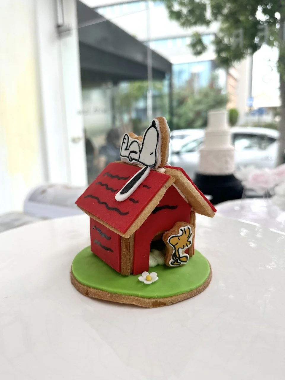 Adults - 29 of 108.jpeg