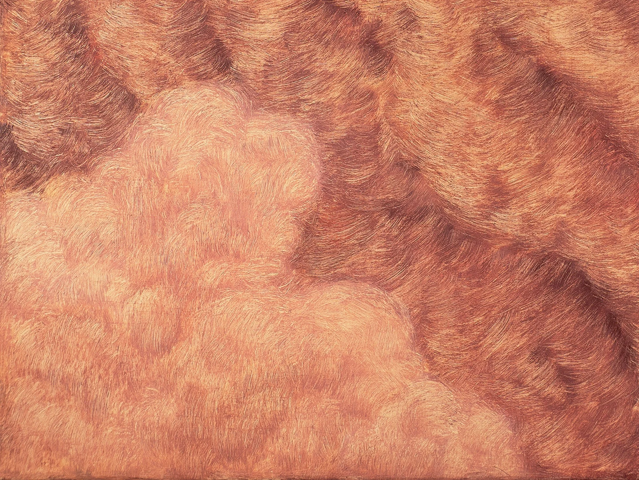 STEPHANE_DUCRET_TS2504_detail_1.jpg