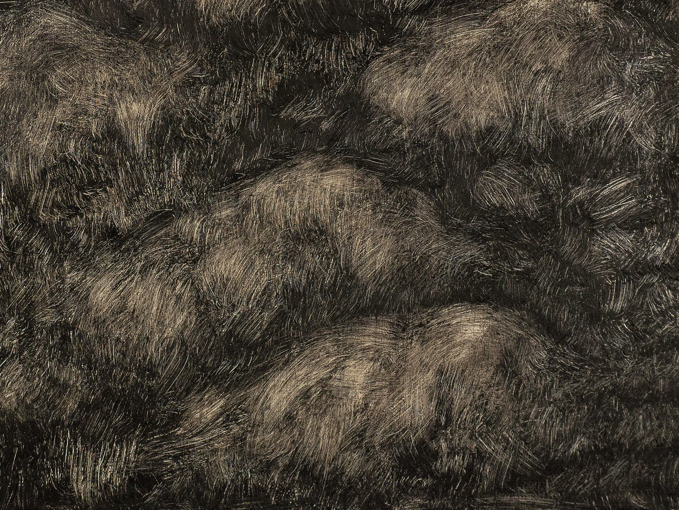 STEPHANE_DUCRET_TS2503_detail_2.jpg