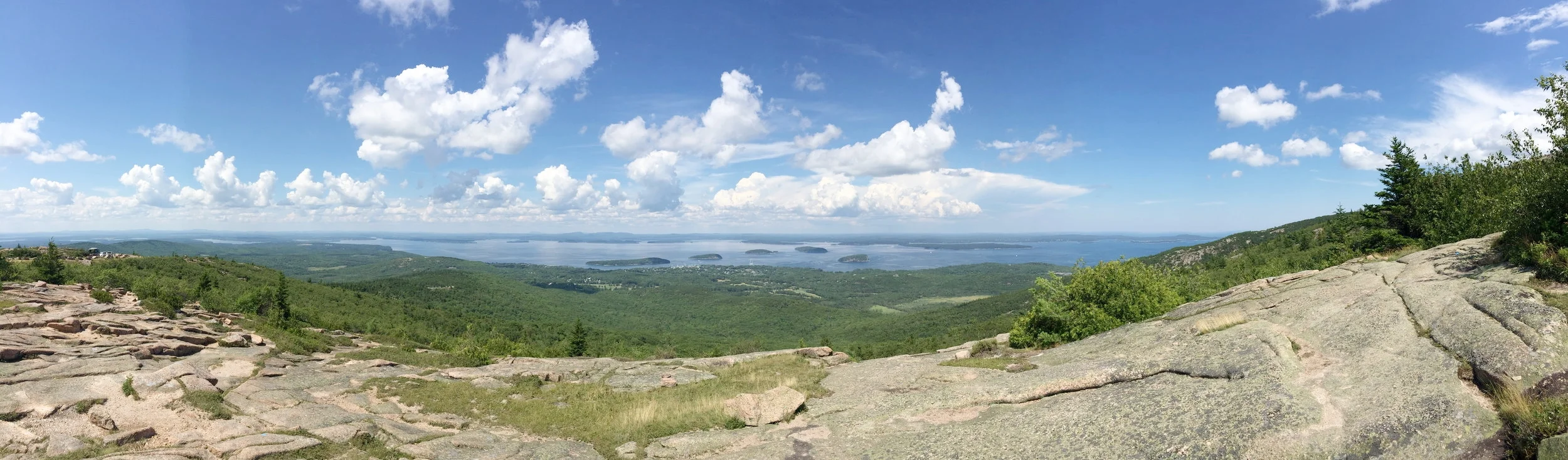 Babies:  How they make updating a law blog a low priority