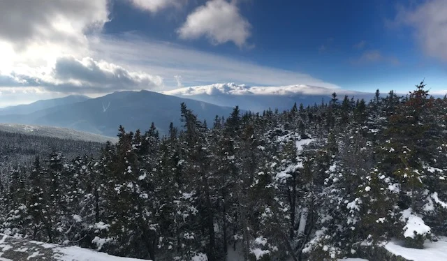 Maine's Current Use Property Tax Programs