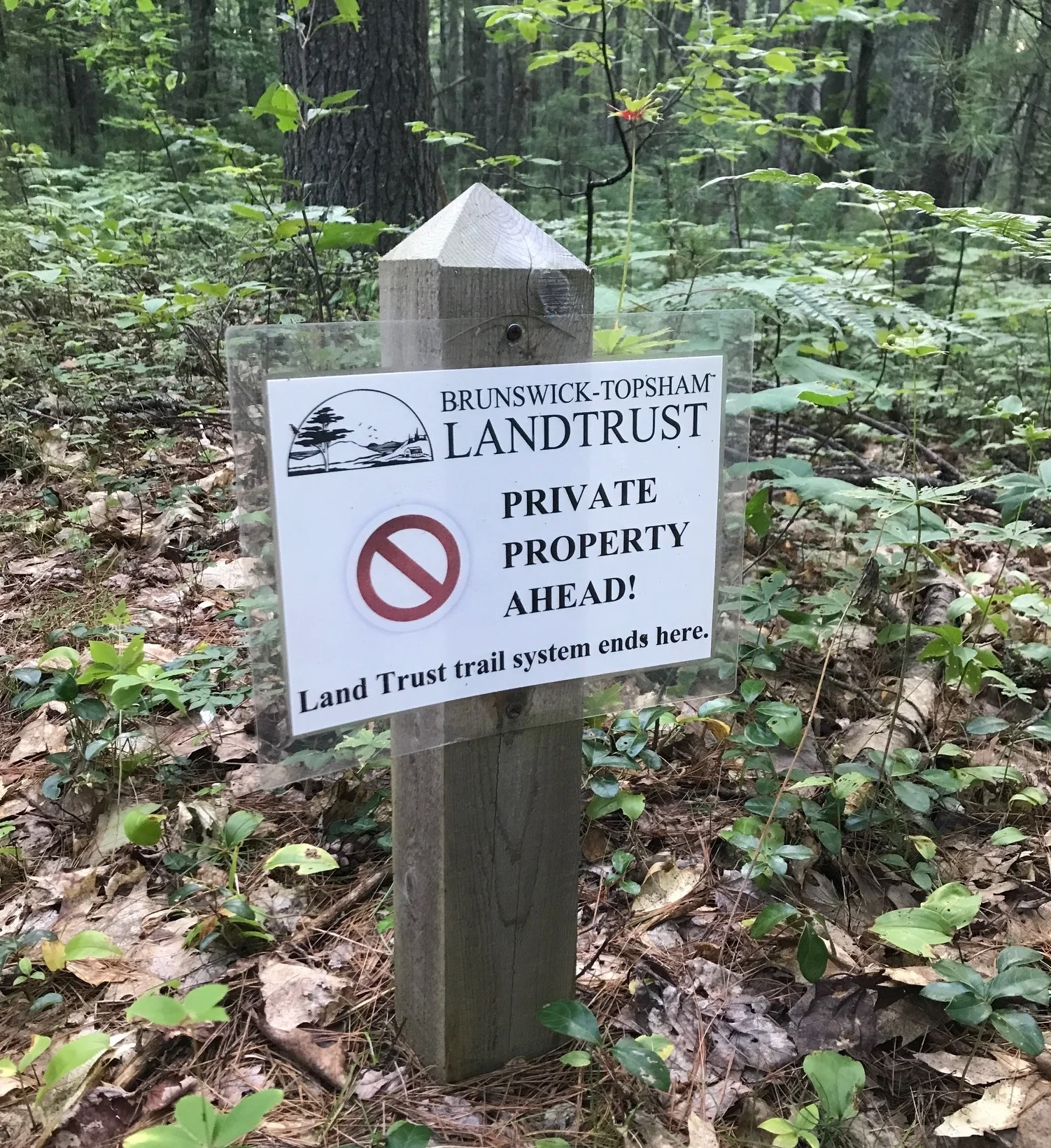 Get Off of my Lawn! - Trespassing in Maine