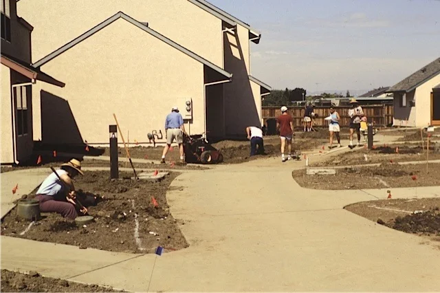 THE BEST OF BOTH WORLDS: THE PROMISE OF COHOUSING