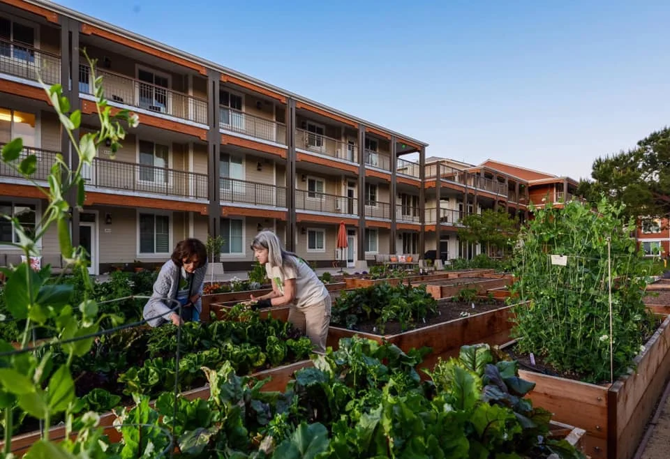 Many senior cohousing communities provide for the activities residents design into the community. Shown here, active gardeners in Mountian View Senior Cohousing, California.