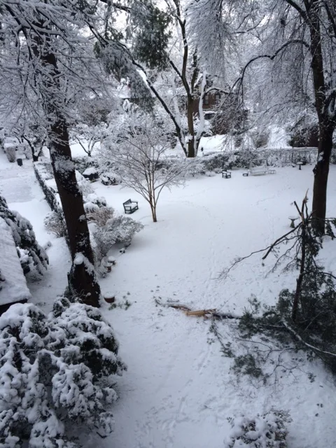 IMG_0173.JPG