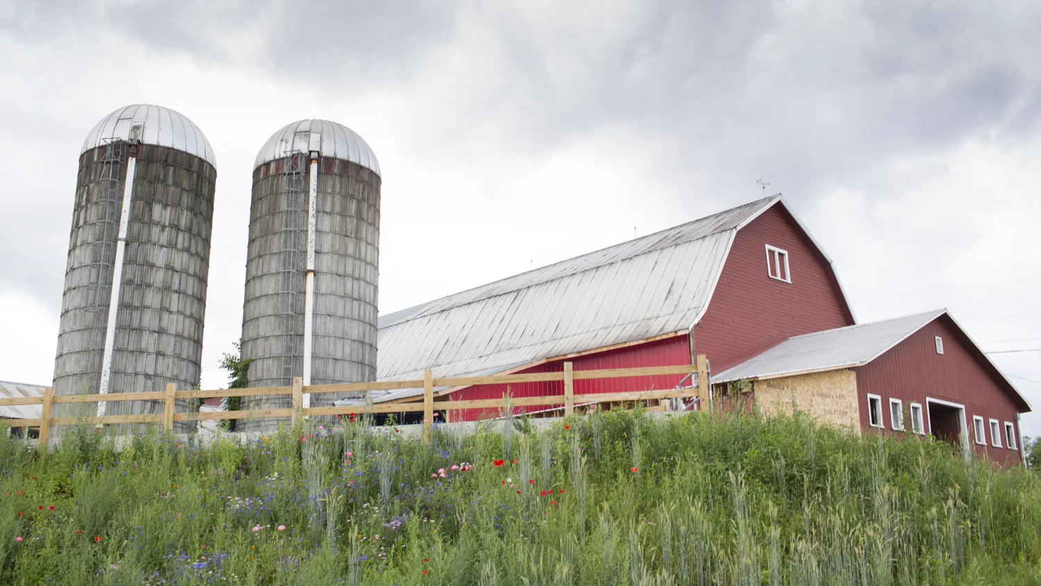 Ackermann Dairy Farm