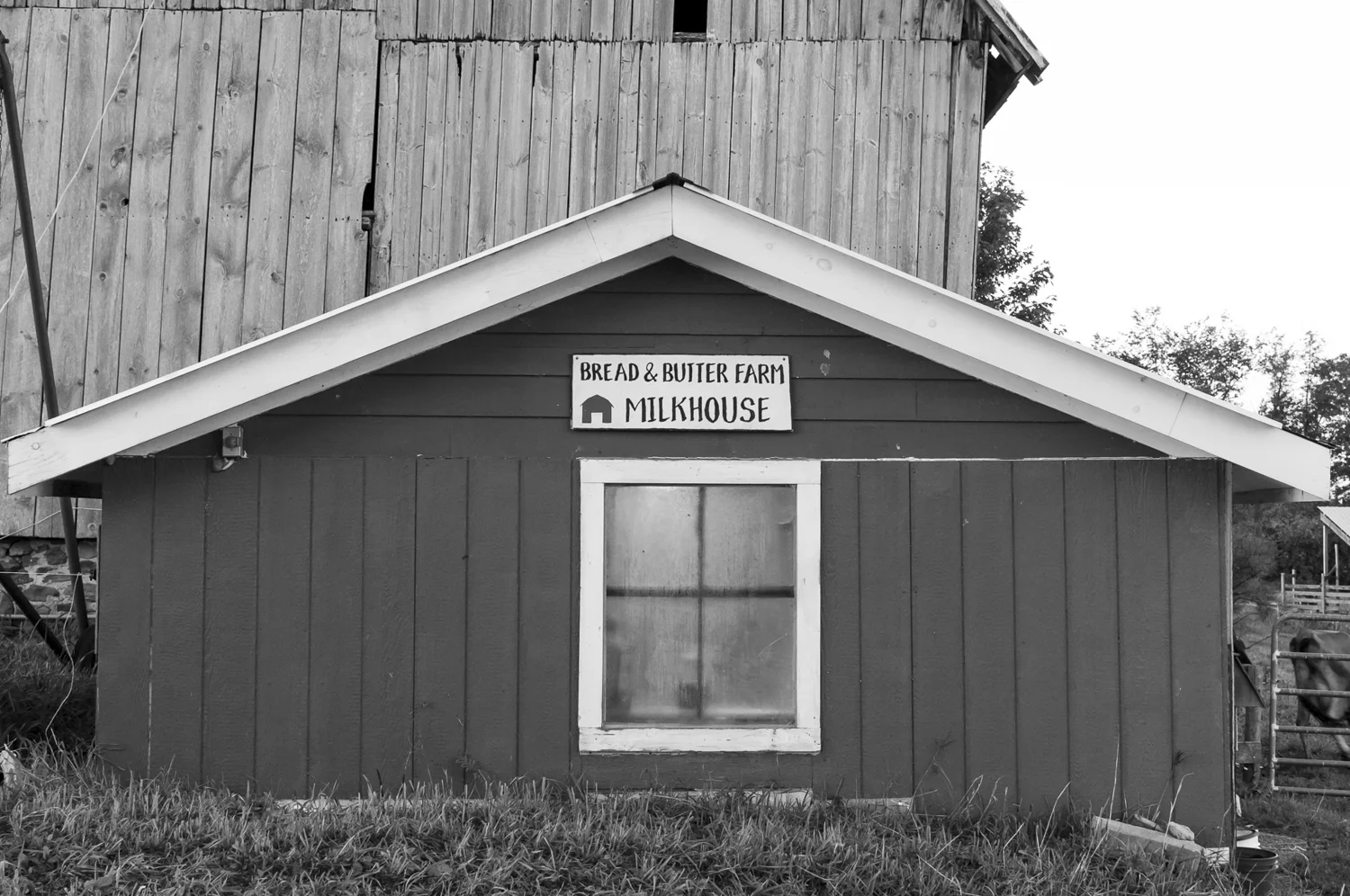 The Milkhouse at Henry's Dairy.