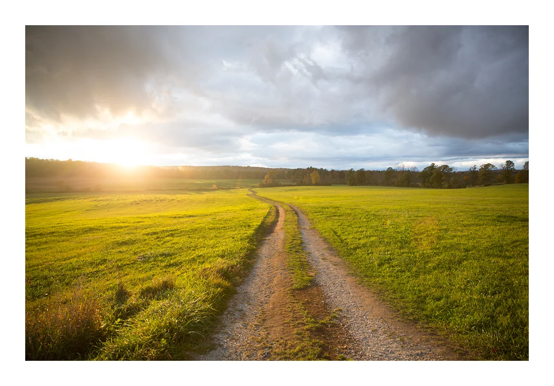 Limited Edition State 14 Print "The Road"