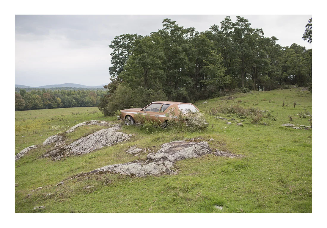 Limited Edition State 14 Prints "Gremlin"