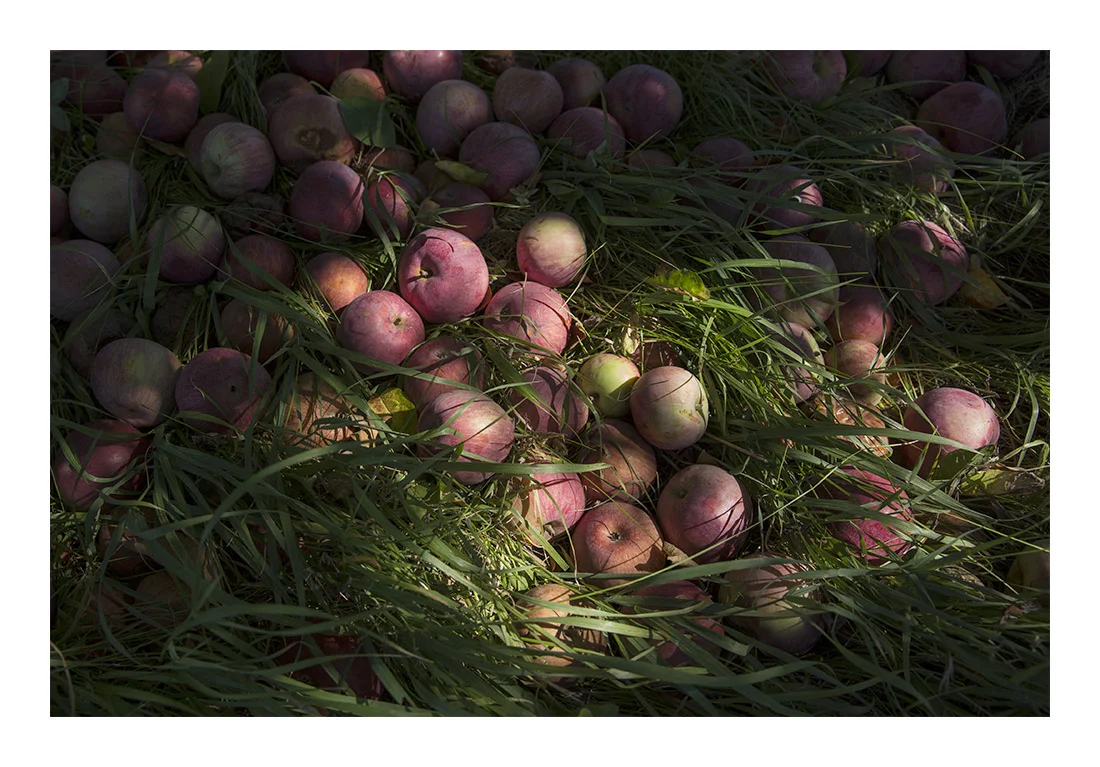 Limited Edition State 14 Print "Drops"