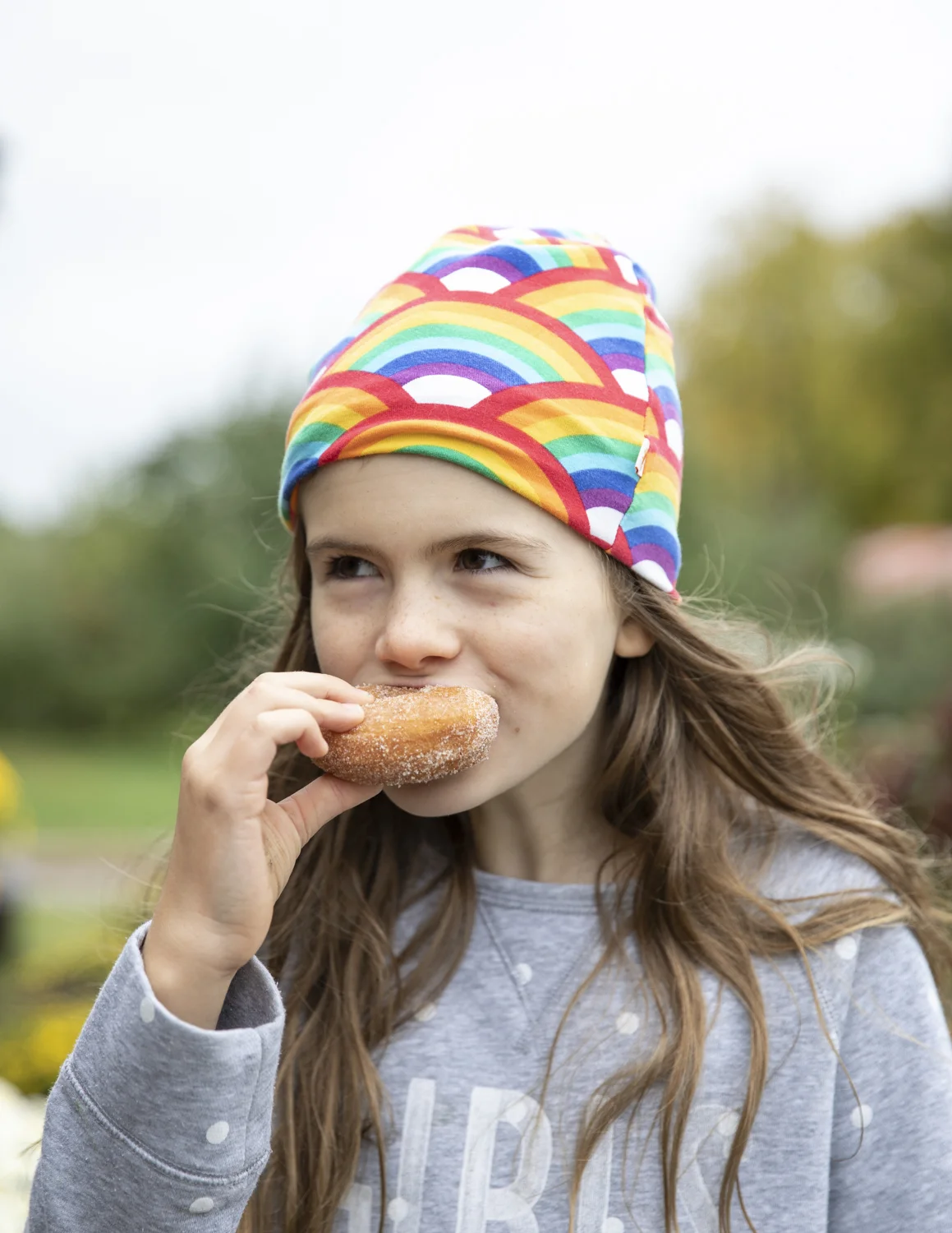 Cider Donuts from Boyers.