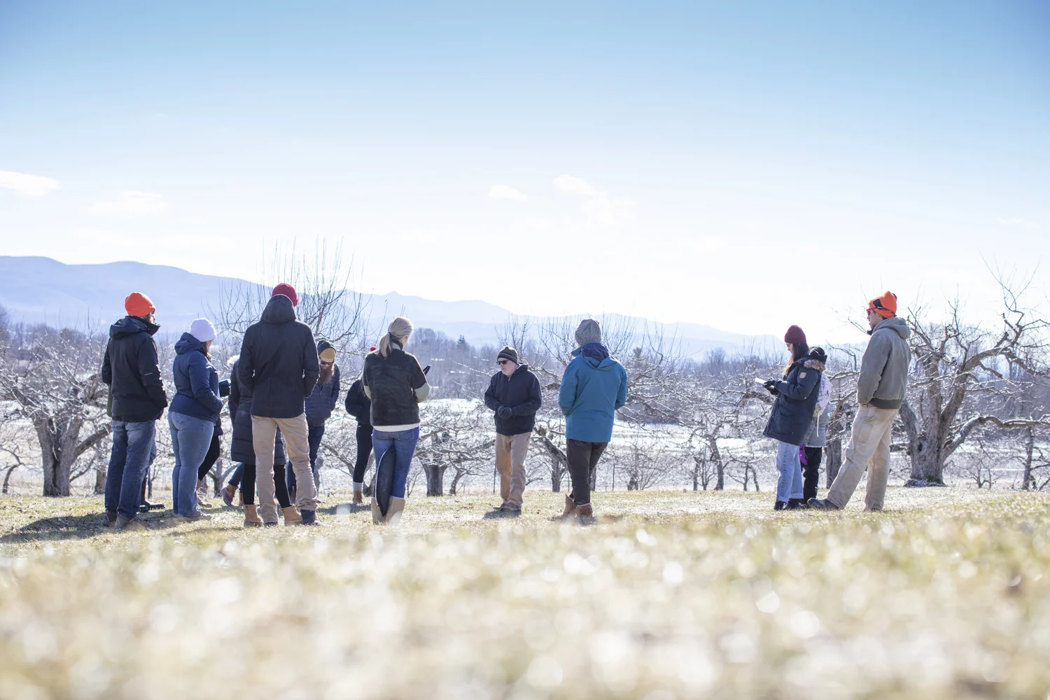 Panoramic view of the Green Mountains at Windfall Orchard in Cornwall, VT