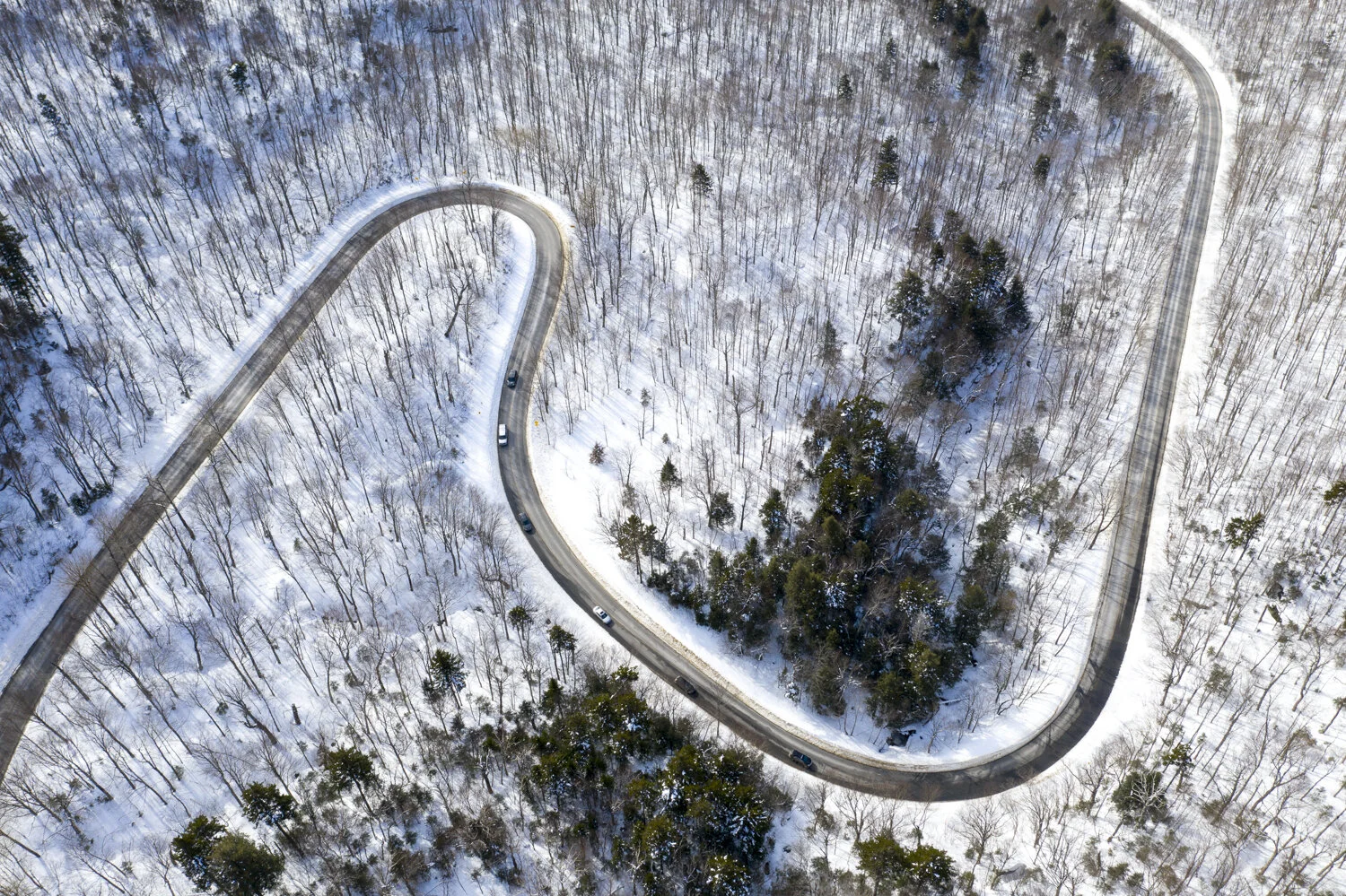 Buels Gore