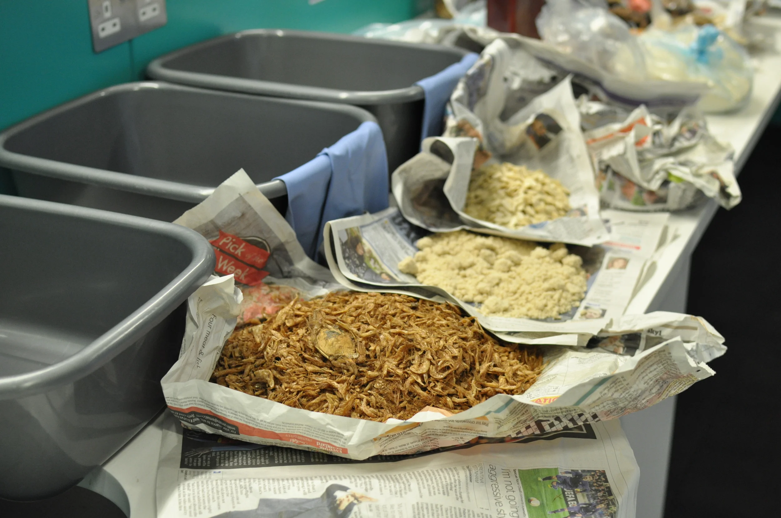 Lodgers still seven 24 x 16cm.JPG