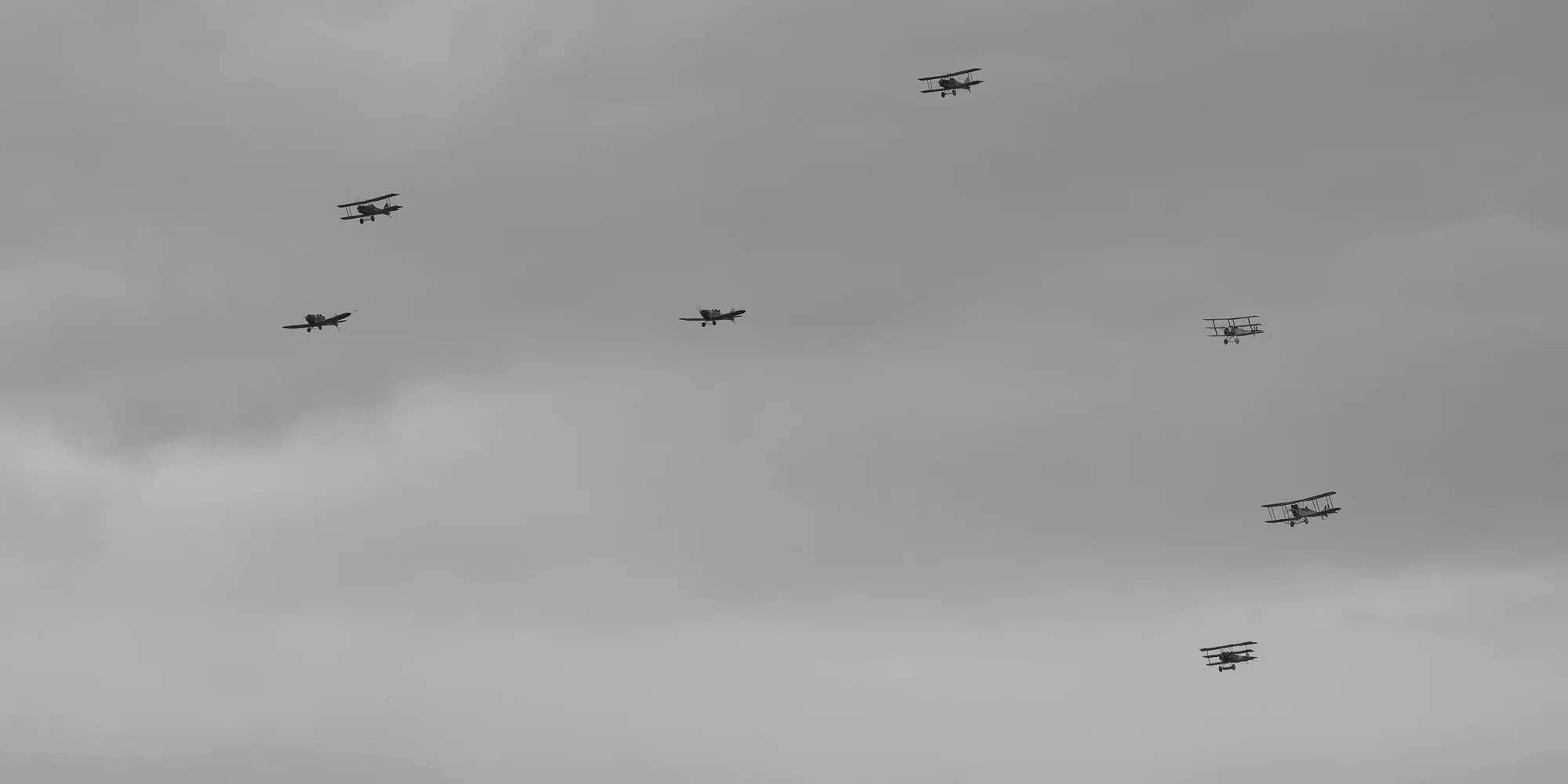 RWX_8487.jpg