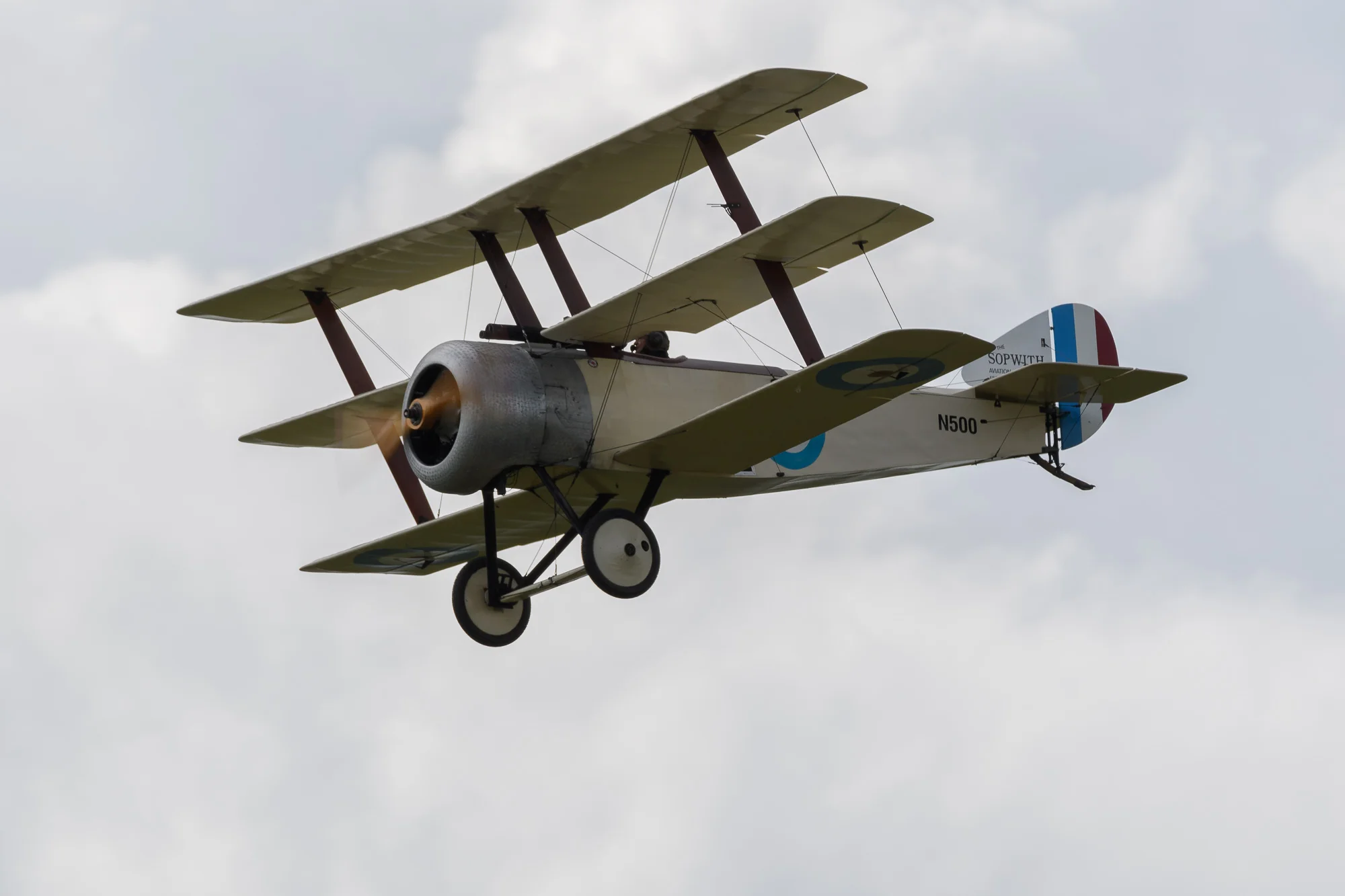 RWX_8740.jpg