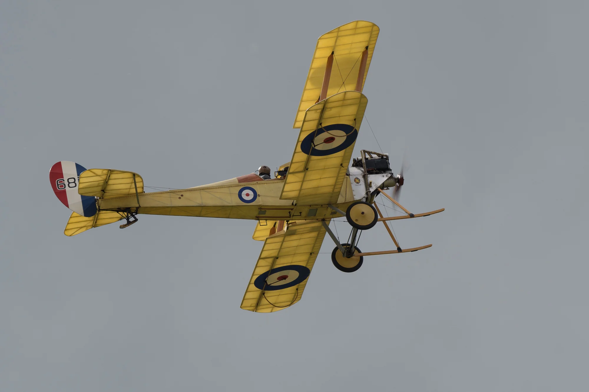 RWX_8565.jpg