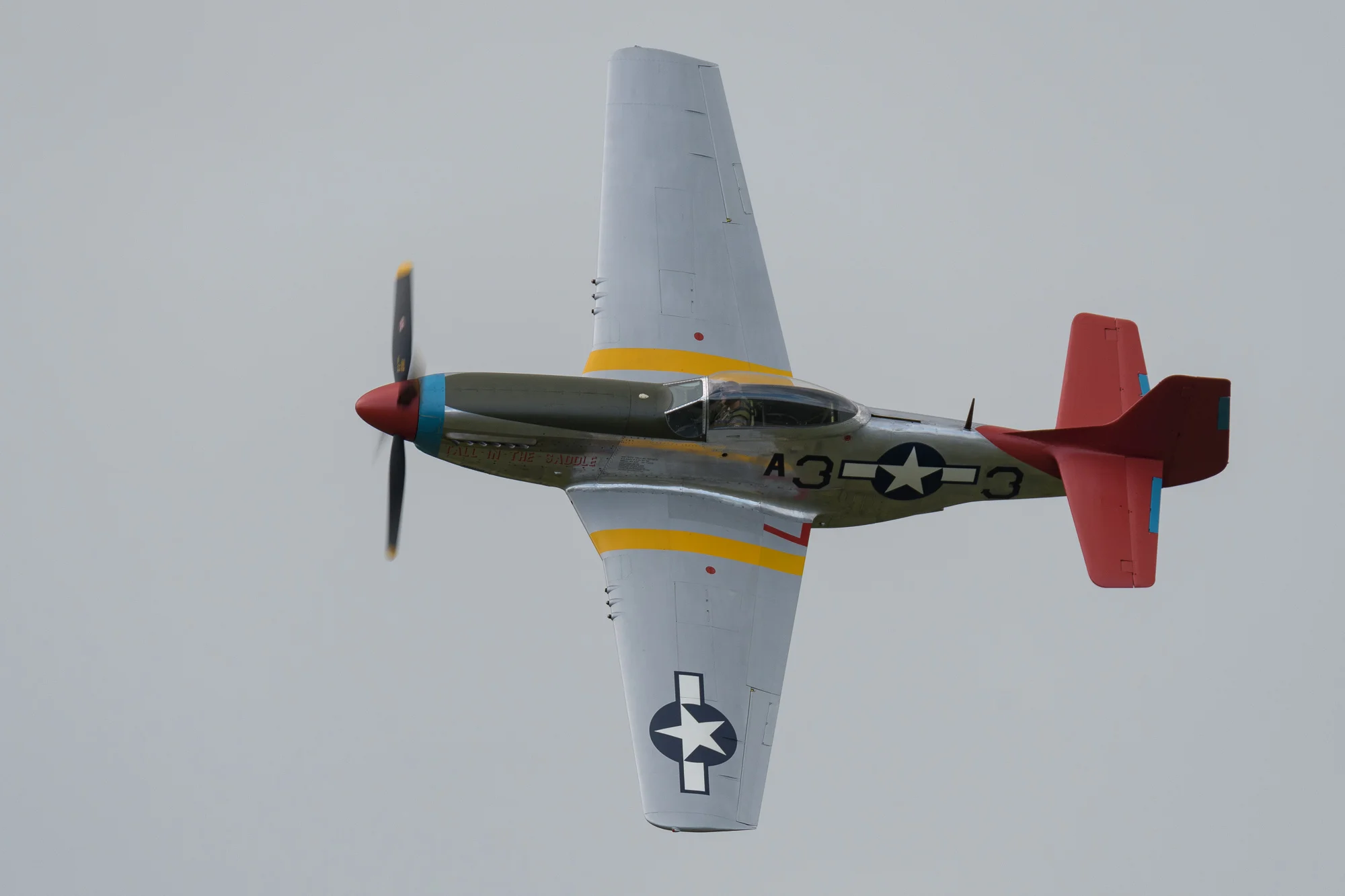 RWX_9220.jpg