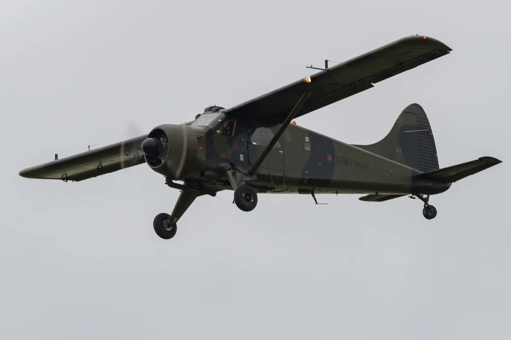 RWX_0487.jpg