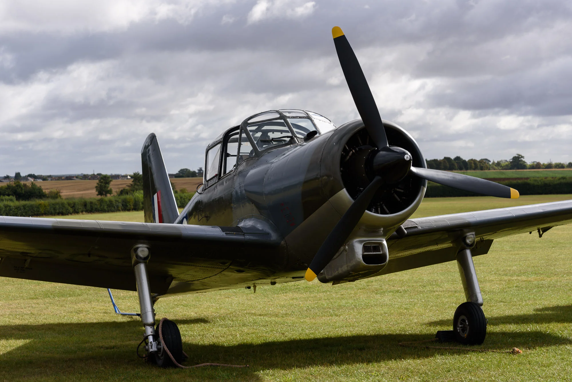 DSC_0267.jpg