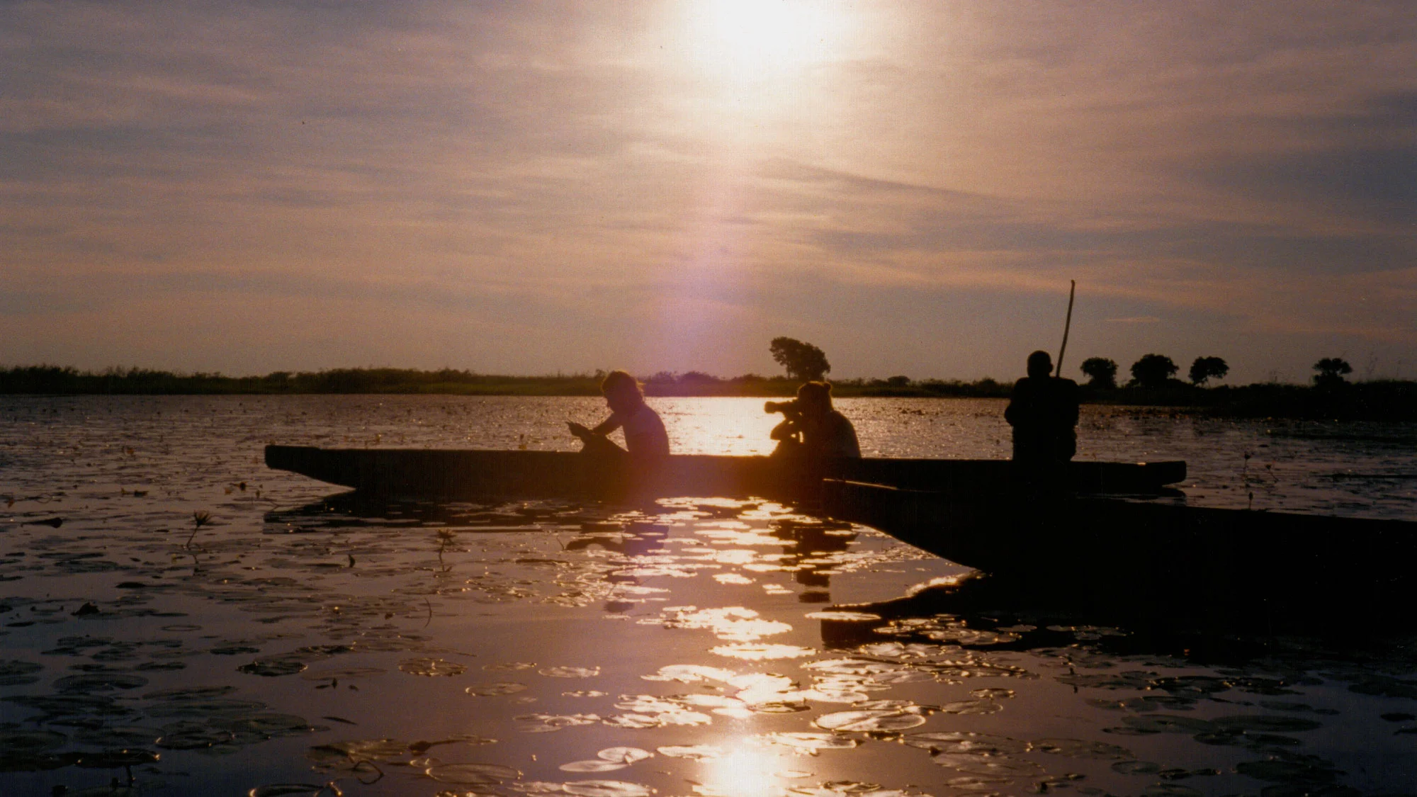 "Mokoros in the Delta", Botswana