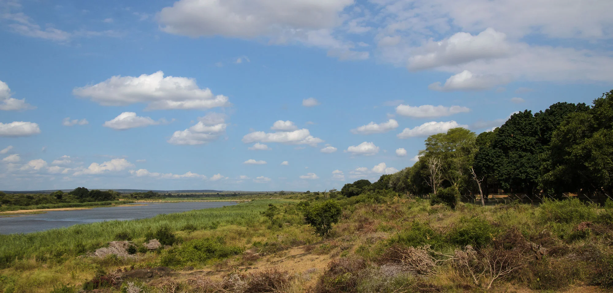 D7K_7464.jpg