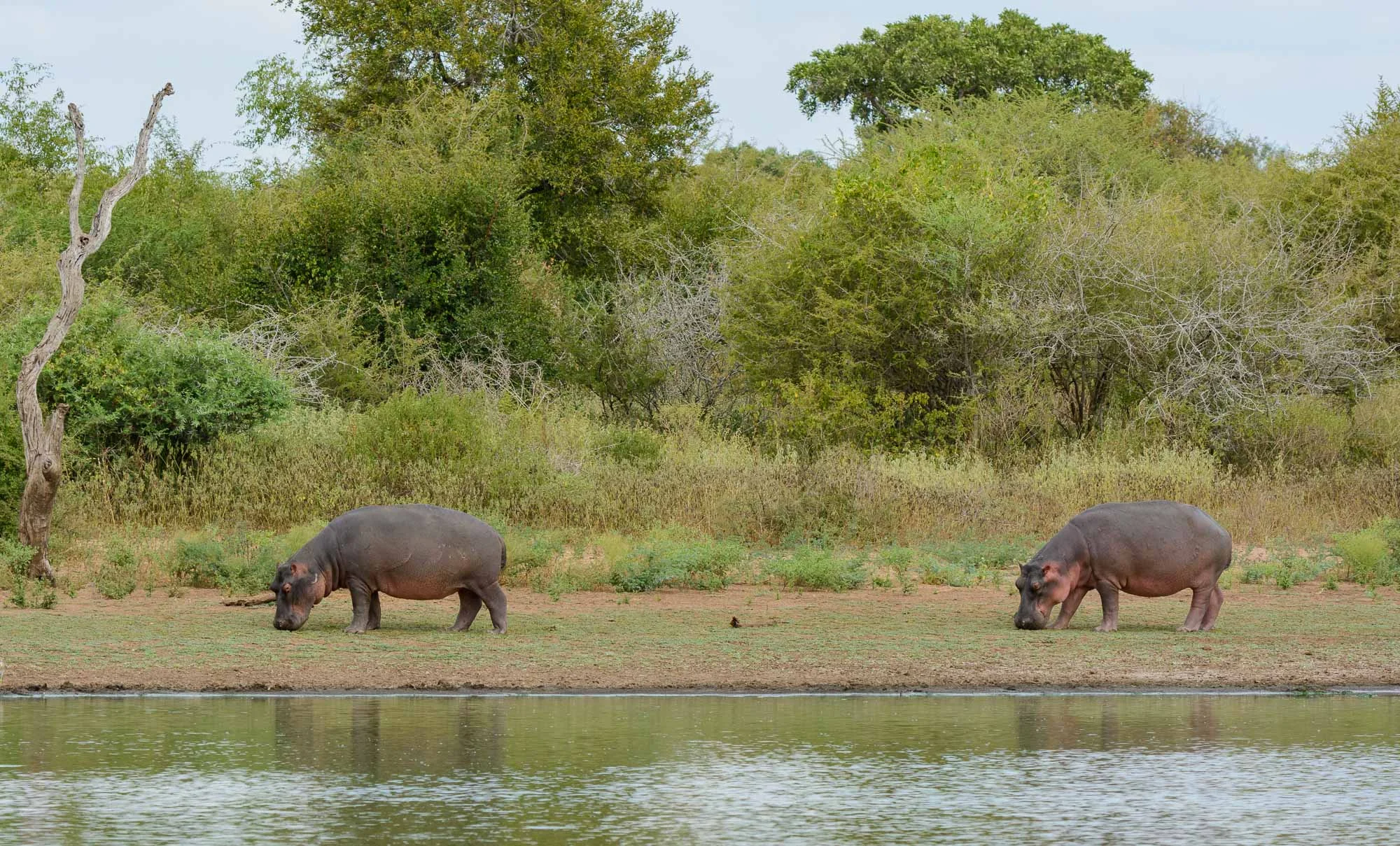 Residents of Sunset Dam