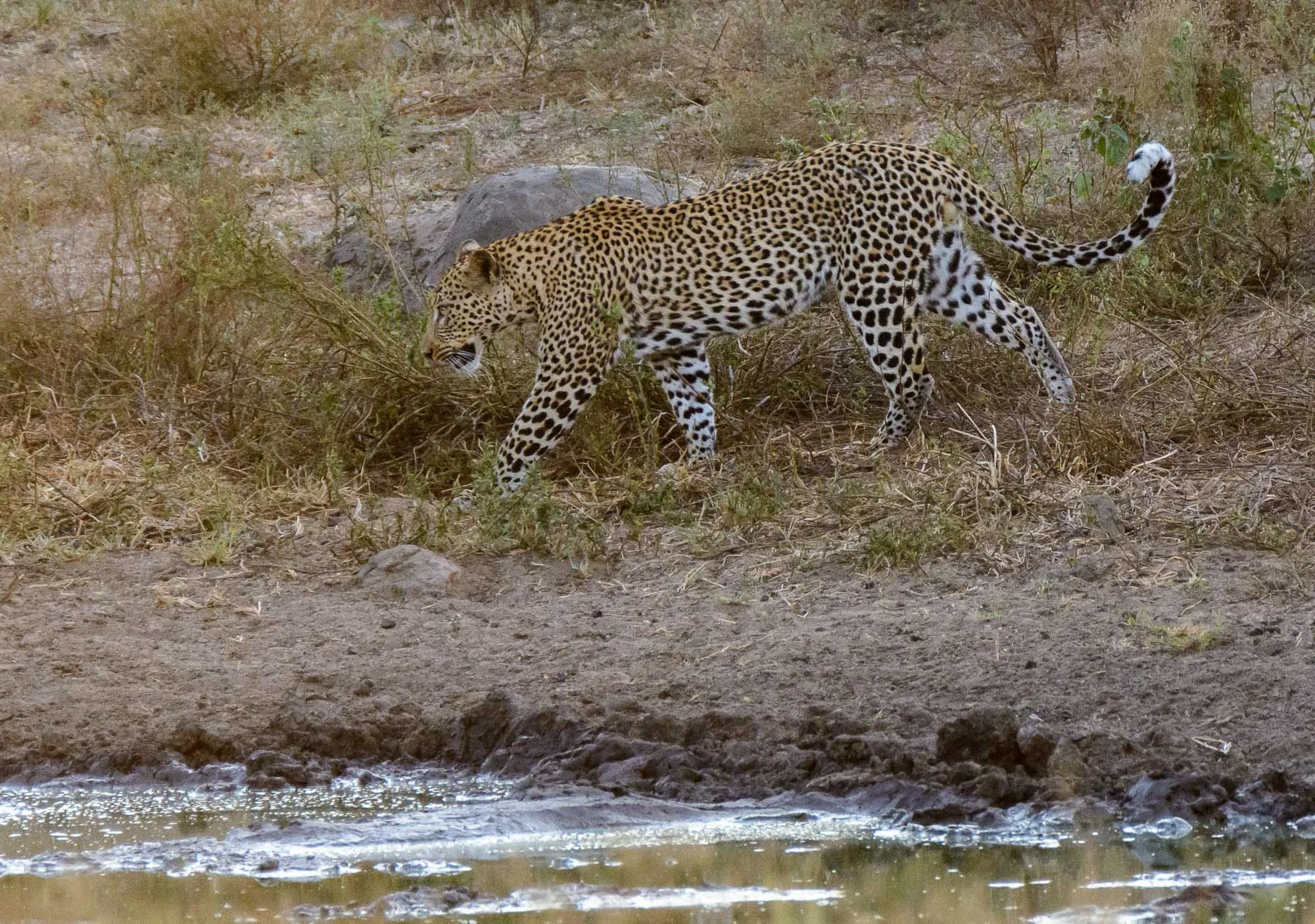 DSC_2478.jpg