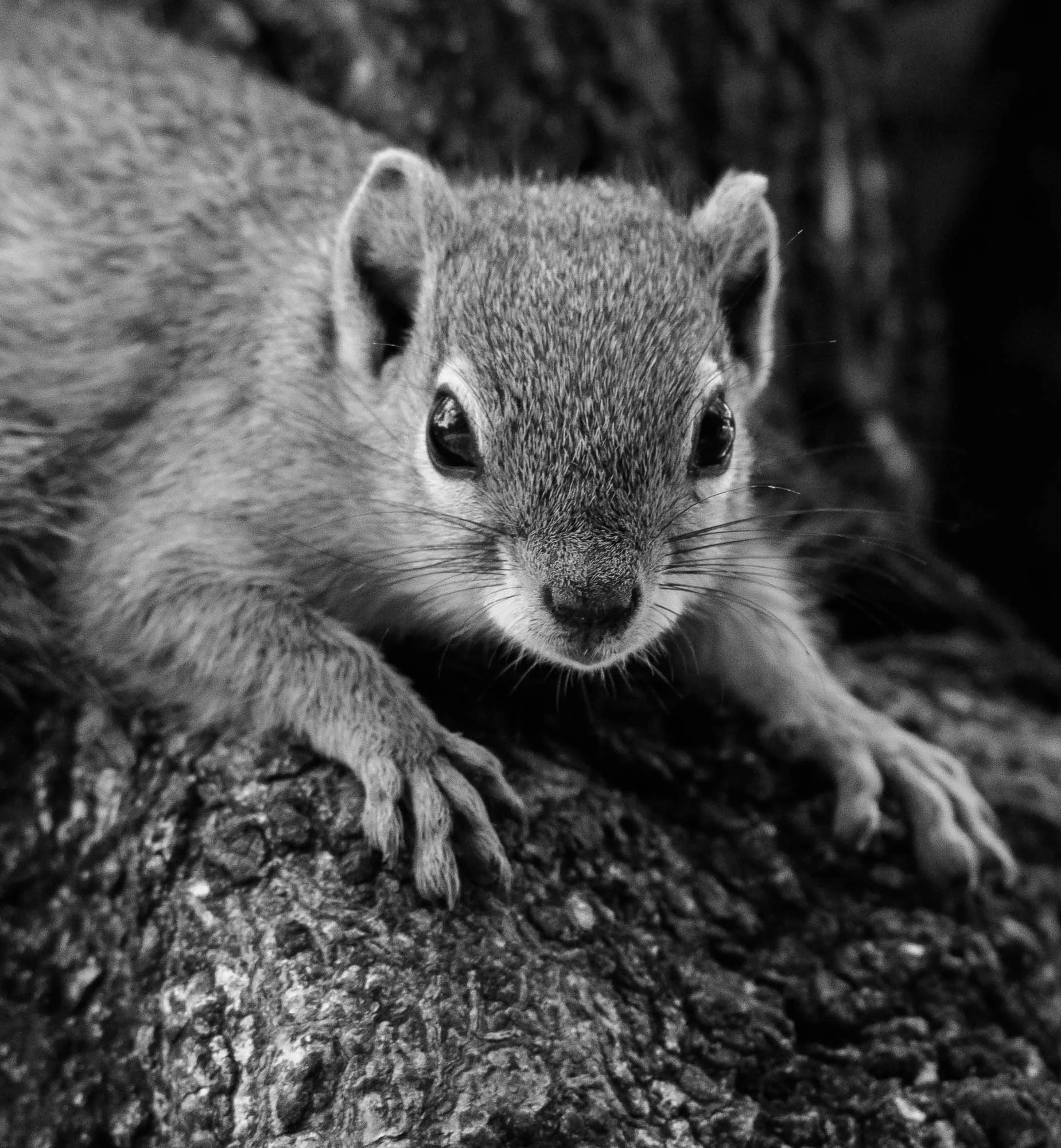 DSC_2726.jpg