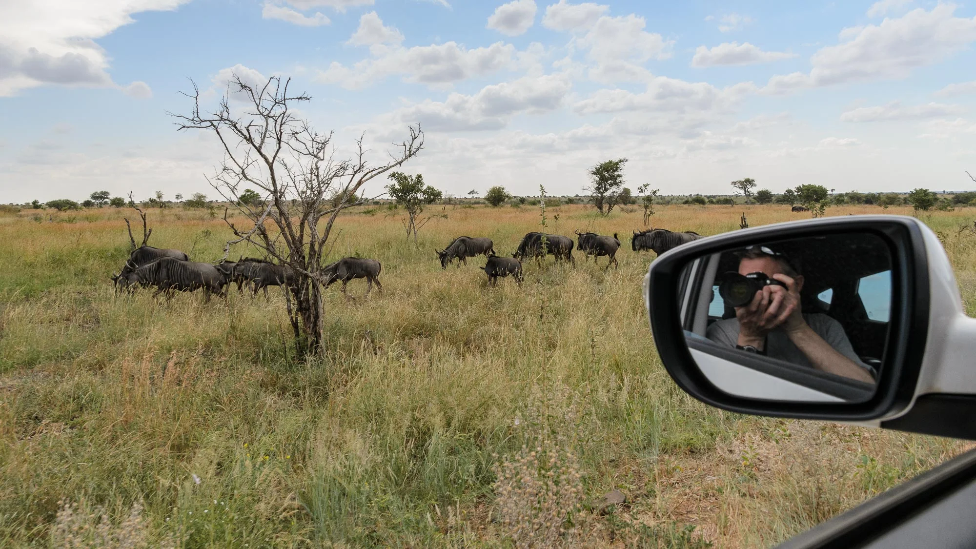 This is me putting in a cameo role with the wildebeest herd.