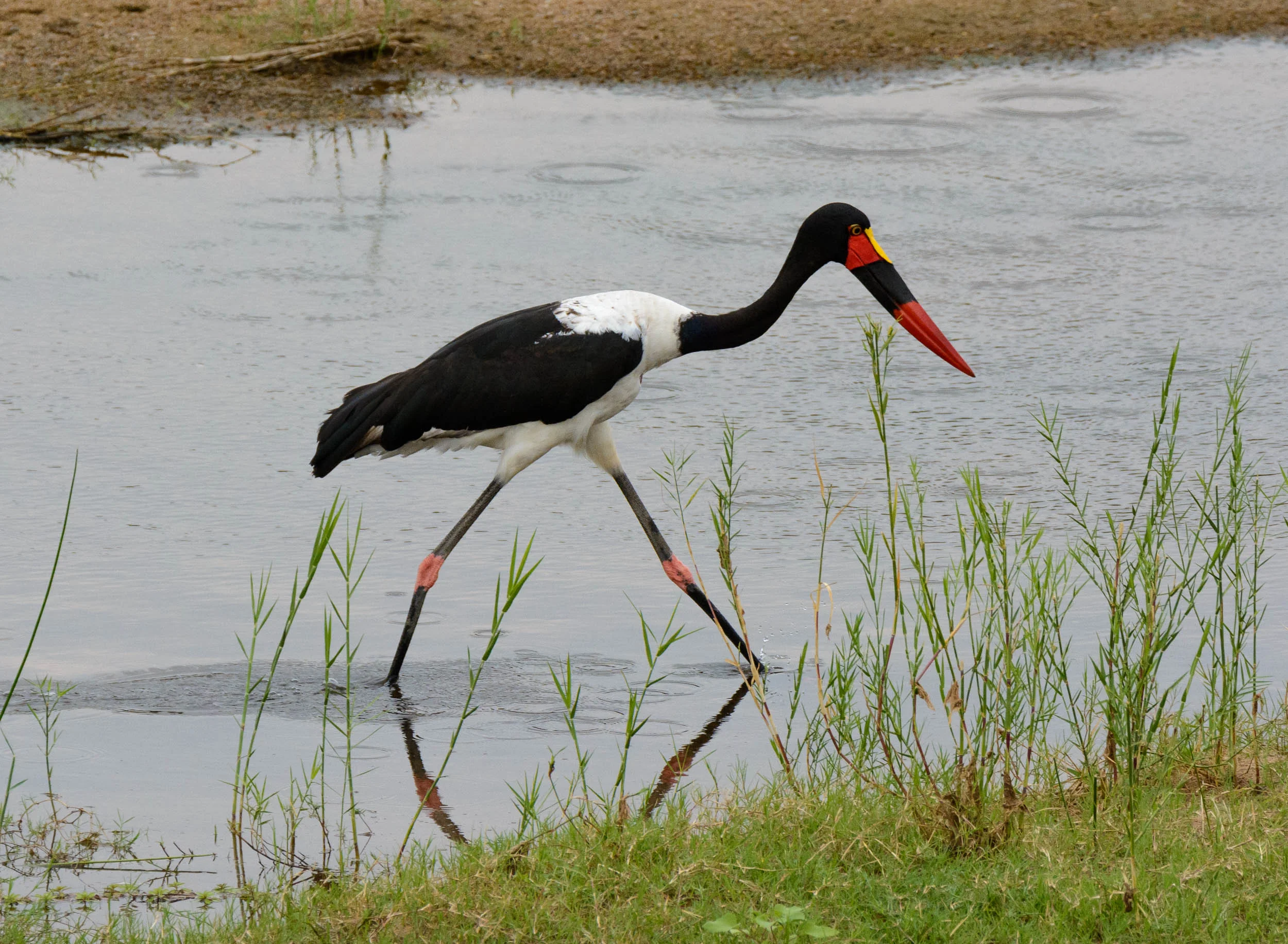 DSC_4151.jpg