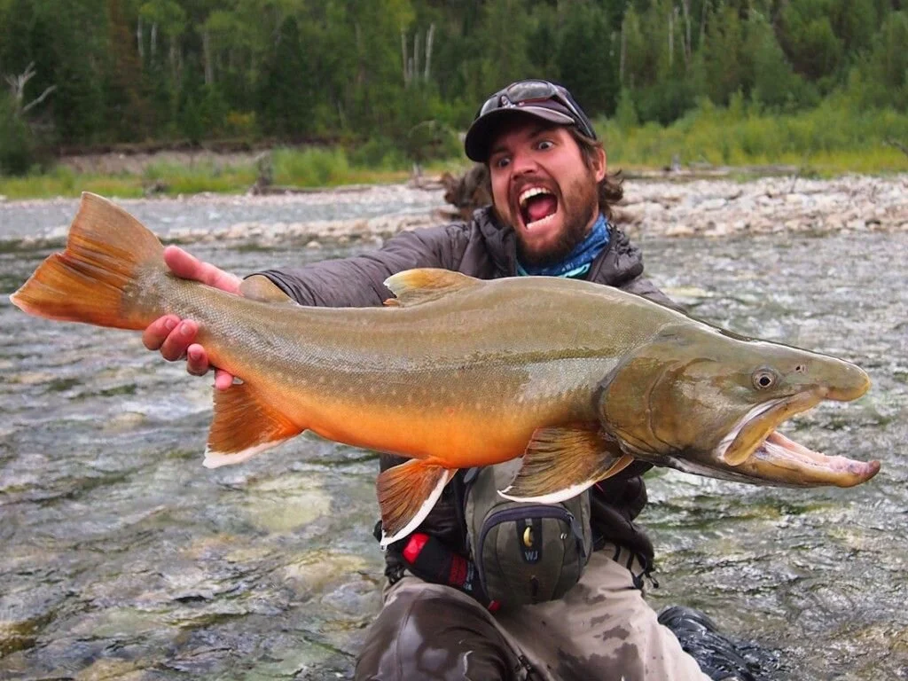 bull trout.jpg