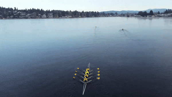 rowinggif.gif