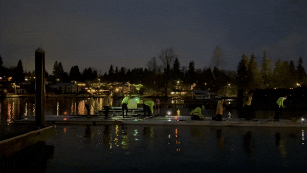 rowinggif2.gif