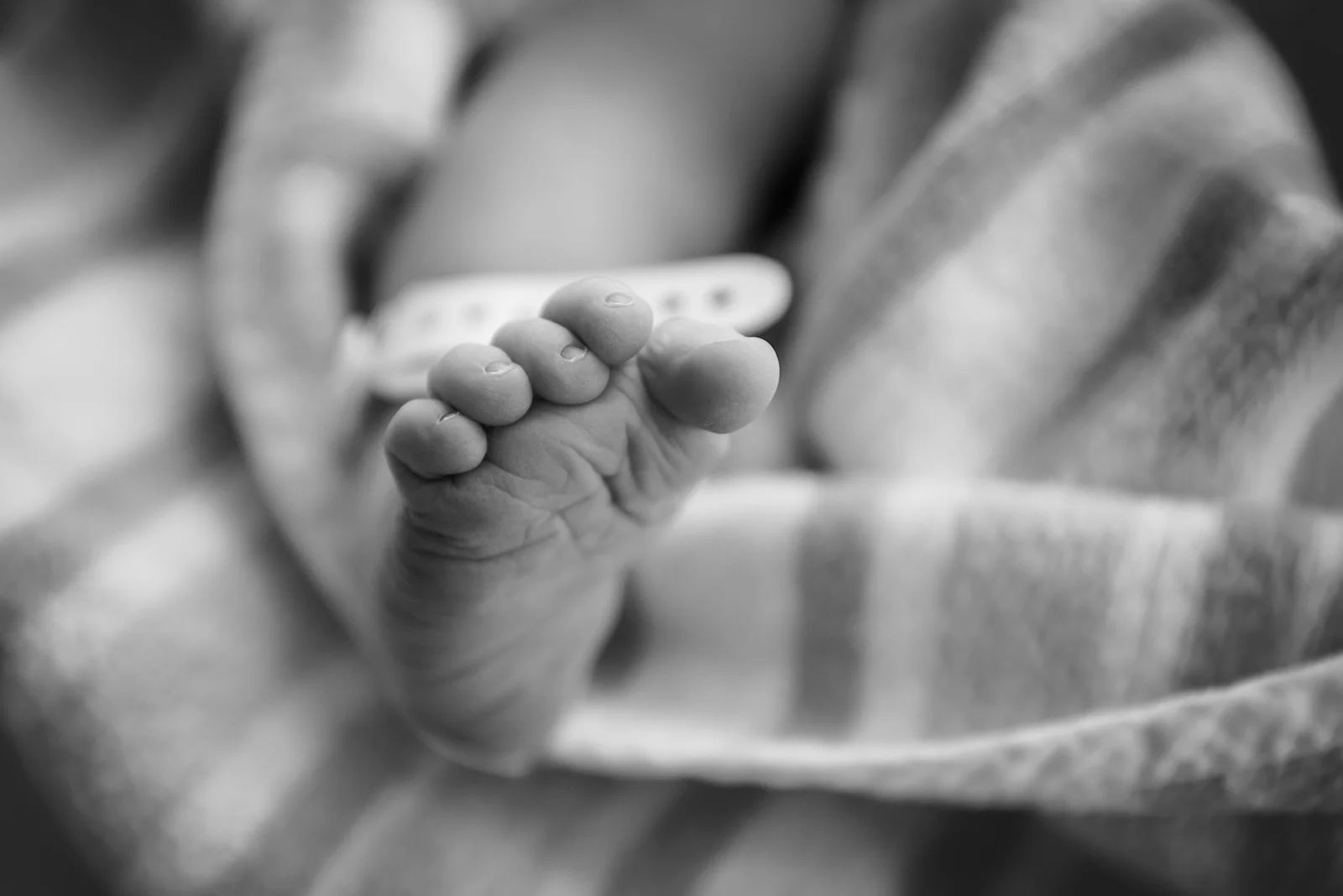 baby toes fresh born birth.jpg