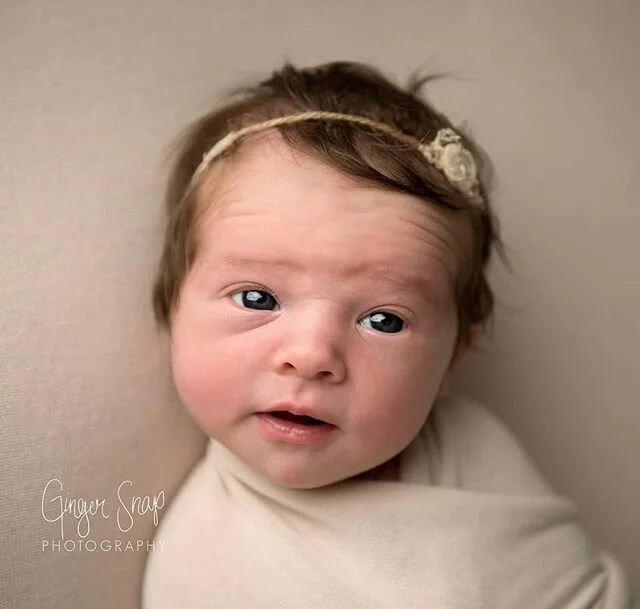 Vera 😍
#adelaidenewbornphotography #newbornphotographeradelaide #gingersnapadelaide #newbornbaby #babygirl #babygirlnames #adelaidemum #adelaidedad #mumstobe2020 #mumsofadelaide #adelaidenewbornphotographer #adelaidenewborn