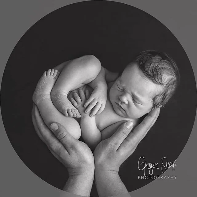 So special to capture baby fitting in Dad's hands. They are only this little for such a short time! 😢
#adelaidenewbornphotography #adelaidenewbornphotographer #newbornphotographeradelaide #newbornphotographyadelaide #adelaidedad #adelaidemum #mumsofadelaide #mumtobe2020