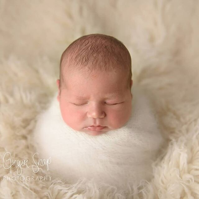 Enzo, such a sweet little guy! 😍
#adelaidenewbornphotography #newbornphotographeradelaide #newbornphotography #adelaidenewbornphotographer #adelaidebabyphotography #adelaidemum #mumsofadelaide